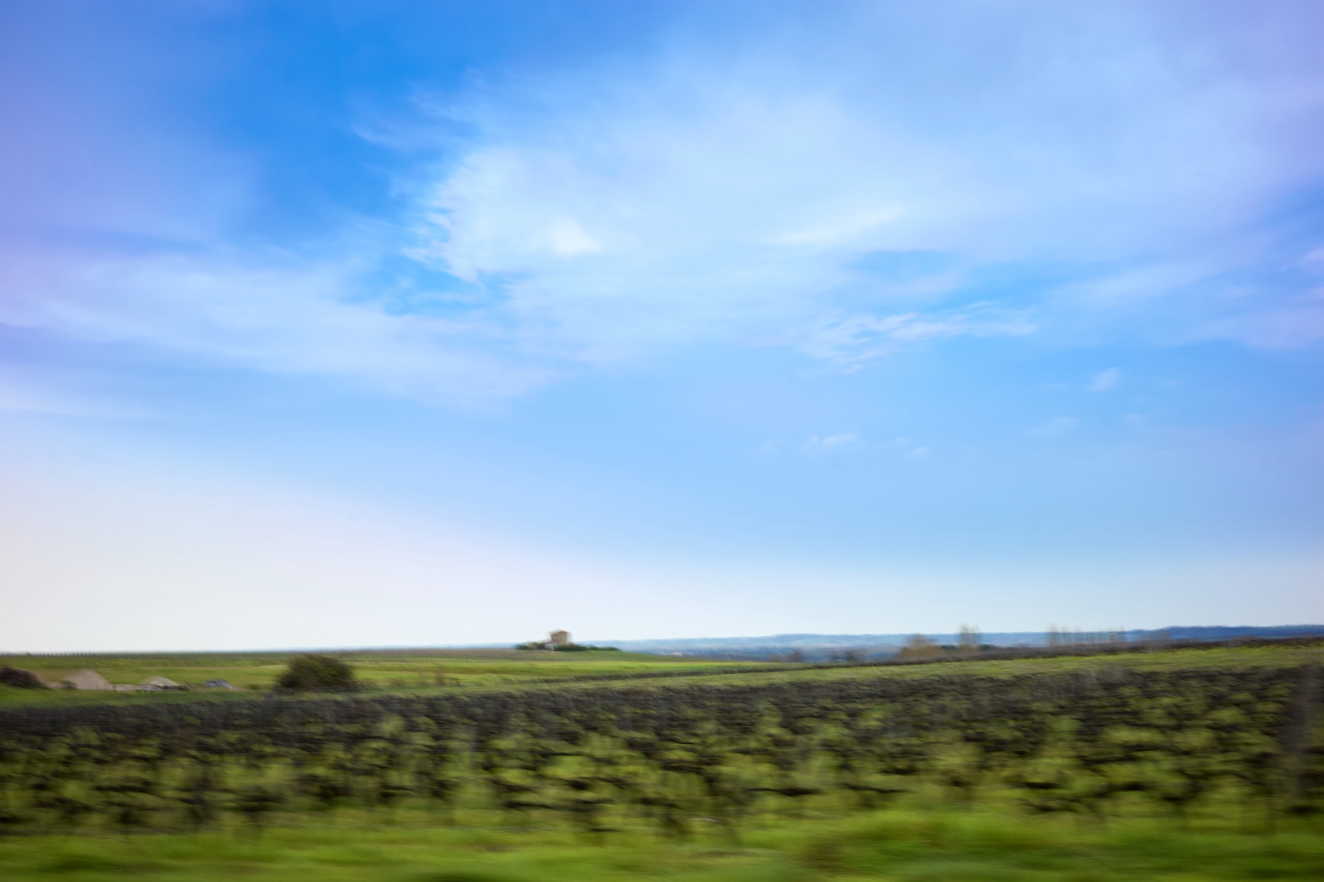 les environs de Sauternes